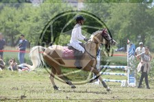 ref. photo 3620387