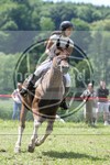 ref. photo 3620433