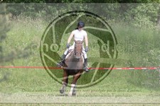 ref. photo 3620446