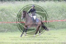 ref. photo 3620451