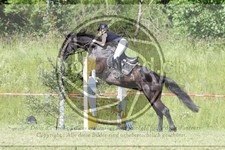 ref. photo 3620475