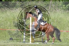 ref. photo 3620491