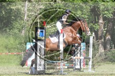 ref. photo 3620494
