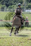 ref. photo 3620498