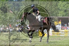 ref. photo 3620506