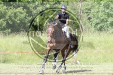 ref. photo 3620514