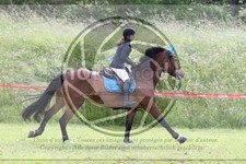 ref. photo 3620523