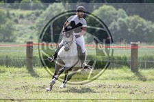 ref. photo 3620539