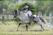 ref. photo 3620545