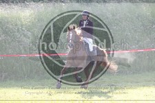 ref. photo 3620602