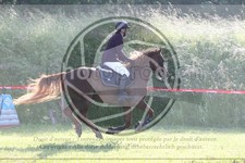 ref. photo 3620606