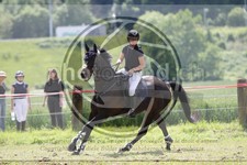 ref. photo 3620608