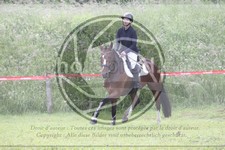 ref. photo 3620627