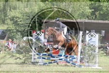ref. photo 3620634