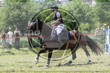 ref. photo 3620676