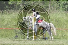 ref. photo 3620711