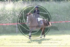 ref. photo 3620736