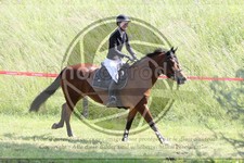 ref. photo 3620780