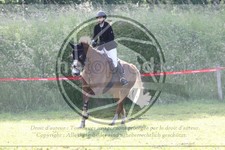 ref. photo 3620841