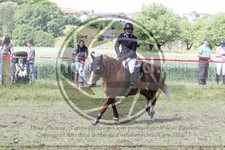 ref. photo 3620879
