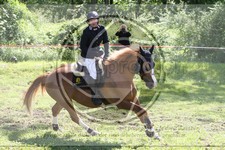 ref. photo 3620882