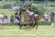 ref. photo 3620888