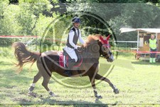ref. photo 3620911