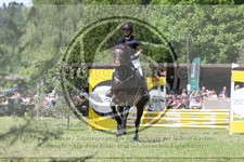 ref. photo 3620934