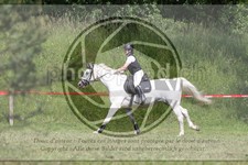 ref. photo 3620982