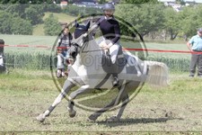 ref. photo 3621030