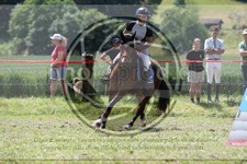 ref. photo 3621038