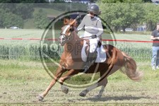 ref. photo 3621058
