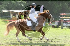 ref. photo 3621061