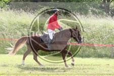 ref. photo 3621116