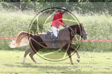 ref. photo 3621117