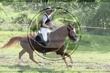 ref. photo 3621126