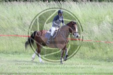ref. photo 3621169
