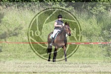 ref. photo 3621184