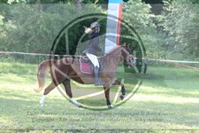 ref. photo 3621193