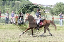ref. photo 3621196