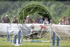ref. photo 3621329