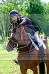 ref. photo 3621447