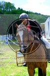 ref. photo 3621486