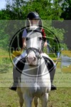 ref. photo 3621494