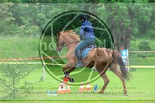 ref. photo 3613137
