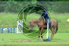ref. photo 3613139