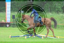 ref. photo 3613142