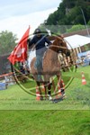 ref. photo 3613149