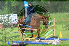 ref. photo 3613150