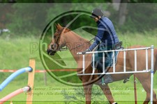 ref. photo 3613154